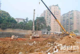 現場直擊 護壁樁加固在建工程 筑牢施工安全防線